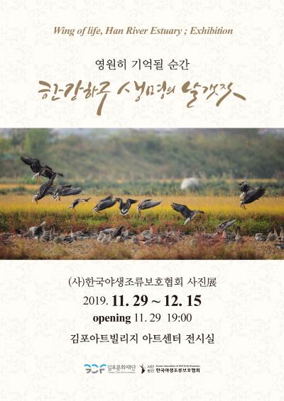 한강하구, 생명의 날갯짓 展