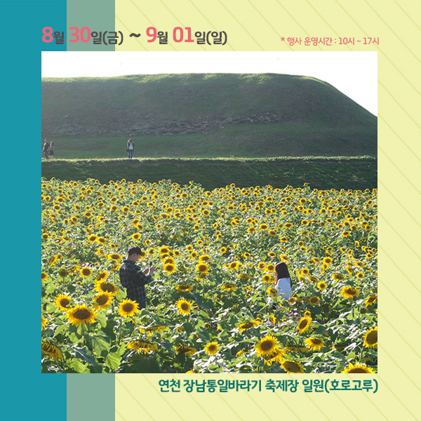 
8월 3일(금) ~ 9월 01일(일)
* 행사 운영시간 : 10시 ~ 17시
연천 장남통일바라기 축제장 일원(호로고루)

